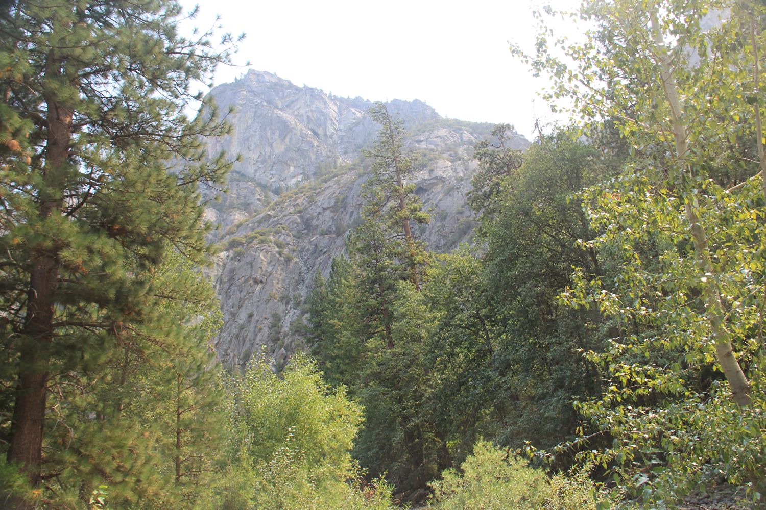 Zumwalt Meadows Trail 